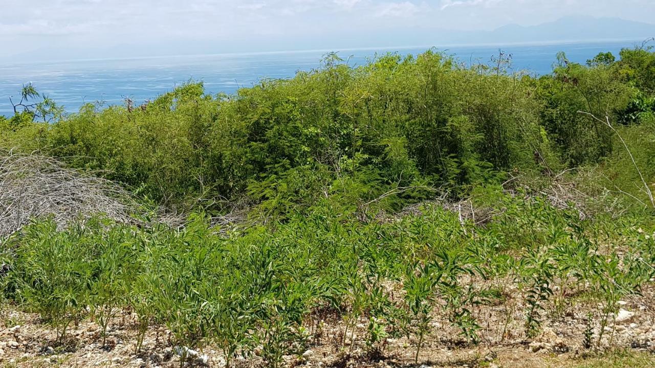 Planete Bleue Habitation Mes Desirs Villa Beaurenom Dış mekan fotoğraf